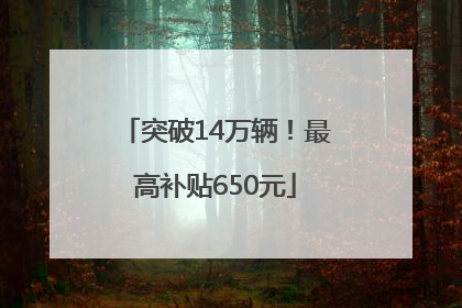 突破14万辆！最高补贴650元