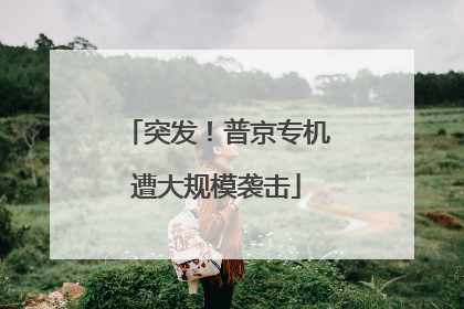 突发！普京专机遭大规模袭击