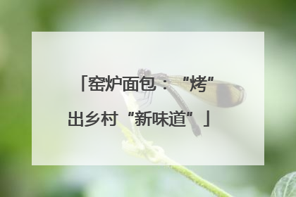 窑炉面包：“烤”出乡村“新味道”