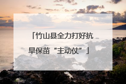 竹山县全力打好抗旱保苗“主动仗”
