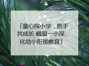 童心探小学，携手共成长 峨眉一小深化幼小衔接教育