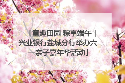 童趣田园 粽享端午｜兴业银行盐城分行举办六一亲子嘉年华活动