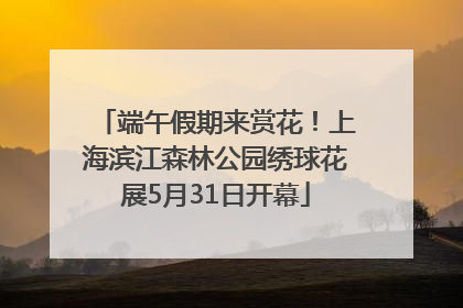 端午假期来赏花！上海滨江森林公园绣球花展5月31日开幕