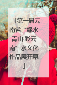第一届云南省“绿水青山·彩云南”水文化作品展开幕