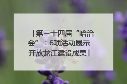 第三十四届“哈洽会”：6项活动展示开放龙江建设成果