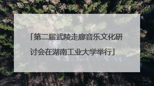 第二届武陵走廊音乐文化研讨会在湖南工业大学举行