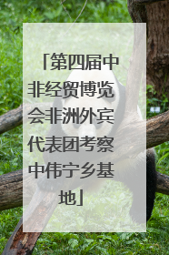 第四届中非经贸博览会非洲外宾代表团考察中伟宁乡基地