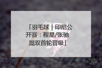 羽毛球｜印尼公开赛：程星/张驰混双首轮晋级