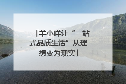 羊小咩让“一站式品质生活”从理想变为现实