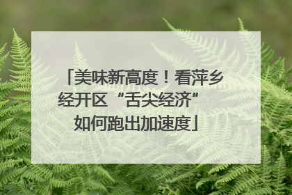 美味新高度！看萍乡经开区“舌尖经济” 如何跑出加速度