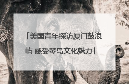 美国青年探访厦门鼓浪屿 感受琴岛文化魅力
