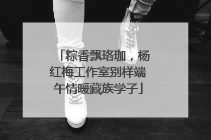 粽香飘珞珈，杨红梅工作室别样端午情暖藏族学子