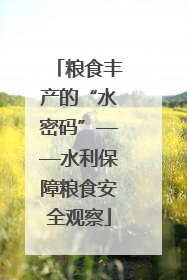 粮食丰产的“水密码”——水利保障粮食安全观察
