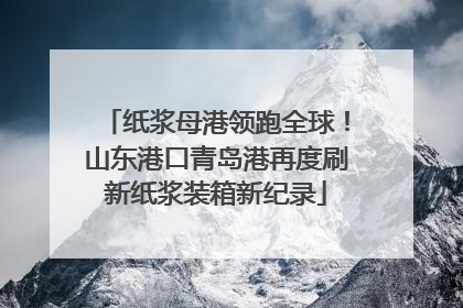 纸浆母港领跑全球！山东港口青岛港再度刷新纸浆装箱新纪录