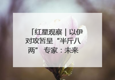 红星观察｜以伊对攻暂呈“半斤八两” 专家：未来真正变量，是美国是否进一步介入