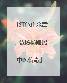 红色庄余霞，弘扬杨则民中医传奇