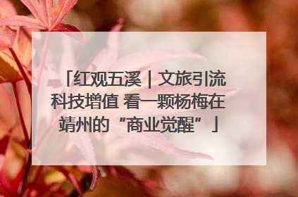 红观五溪｜文旅引流 科技增值 看一颗杨梅在靖州的“商业觉醒”