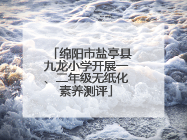 绵阳市盐亭县九龙小学开展一、二年级无纸化素养测评