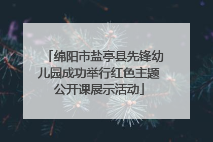 绵阳市盐亭县先锋幼儿园成功举行红色主题公开课展示活动