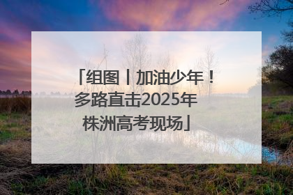 组图丨加油少年！多路直击2025年株洲高考现场