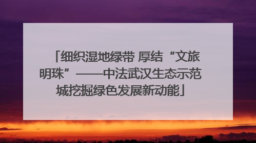 细织湿地绿带 厚结“文旅明珠”——中法武汉生态示范城挖掘绿色发展新动能