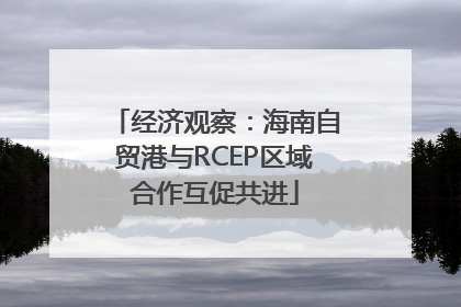 经济观察：海南自贸港与RCEP区域合作互促共进