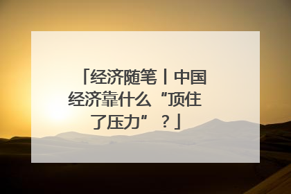 经济随笔丨中国经济靠什么“顶住了压力”？