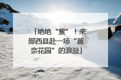 绝绝“紫”！来郧西县赴一场“莫奈花园”的浪漫