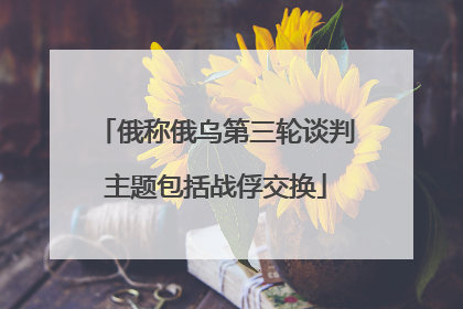 俄称俄乌第三轮谈判主题包括战俘交换