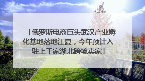 俄罗斯电商巨头武汉产业孵化基地落地江夏，今年预计入驻上千家湖北跨境卖家