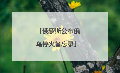俄罗斯公布俄乌停火备忘录
