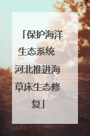保护海洋生态系统 河北推进海草床生态修复