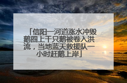 信阳一河道涨水冲毁鹅圈上千只鹅被卷入洪流，当地蓝天救援队一小时赶鹅上岸