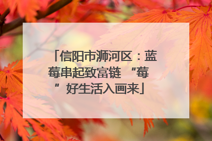 信阳市浉河区：蓝莓串起致富链 “莓”好生活入画来