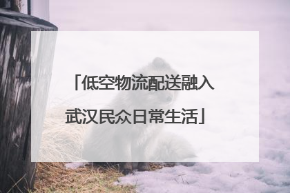 低空物流配送融入武汉民众日常生活