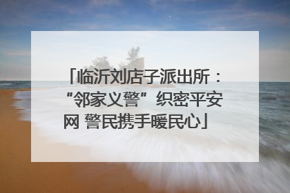 临沂刘店子派出所：“邻家义警”织密平安网 警民携手暖民心