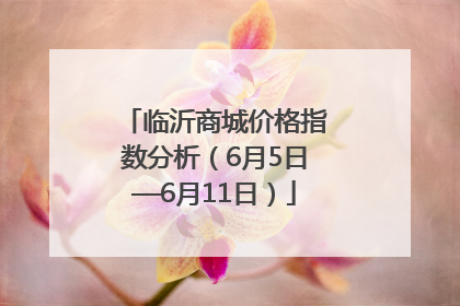 临沂商城价格指数分析（6月5日—6月11日）