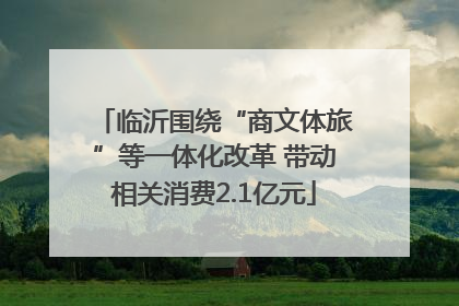 临沂围绕“商文体旅”等一体化改革 带动相关消费2.1亿元