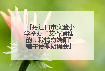 丹江口市实验小学举办“艾香诵雅韵，粽情寄端阳”端午诗歌朗诵会