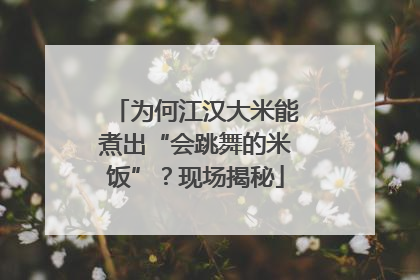 为何江汉大米能煮出“会跳舞的米饭”？现场揭秘