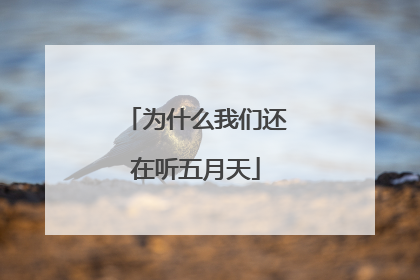 为什么我们还在听五月天