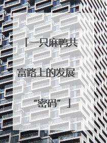 一只麻鸭共富路上的发展“密码”