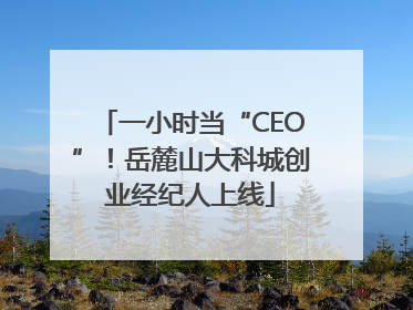 一小时当“CEO”！岳麓山大科城创业经纪人上线