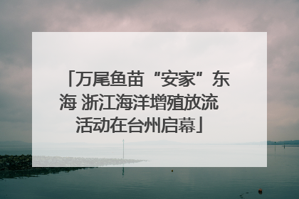 万尾鱼苗“安家”东海 浙江海洋增殖放流活动在台州启幕