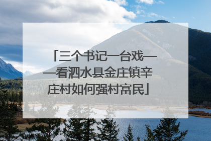 三个书记一台戏——看泗水县金庄镇辛庄村如何强村富民