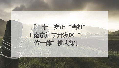 三十三岁正“当打”！南京江宁开发区“三位一体”挑大梁