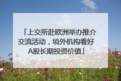 上交所赴欧洲举办推介交流活动，境外机构看好A股长期投资价值
