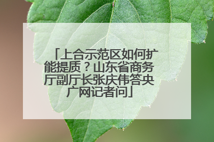 上合示范区如何扩能提质？山东省商务厅副厅长张庆伟答央广网记者问