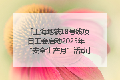 上海地铁18号线项目工会启动2025年“安全生产月”活动