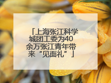 上海张江科学城团工委为40余万张江青年带来“见面礼”